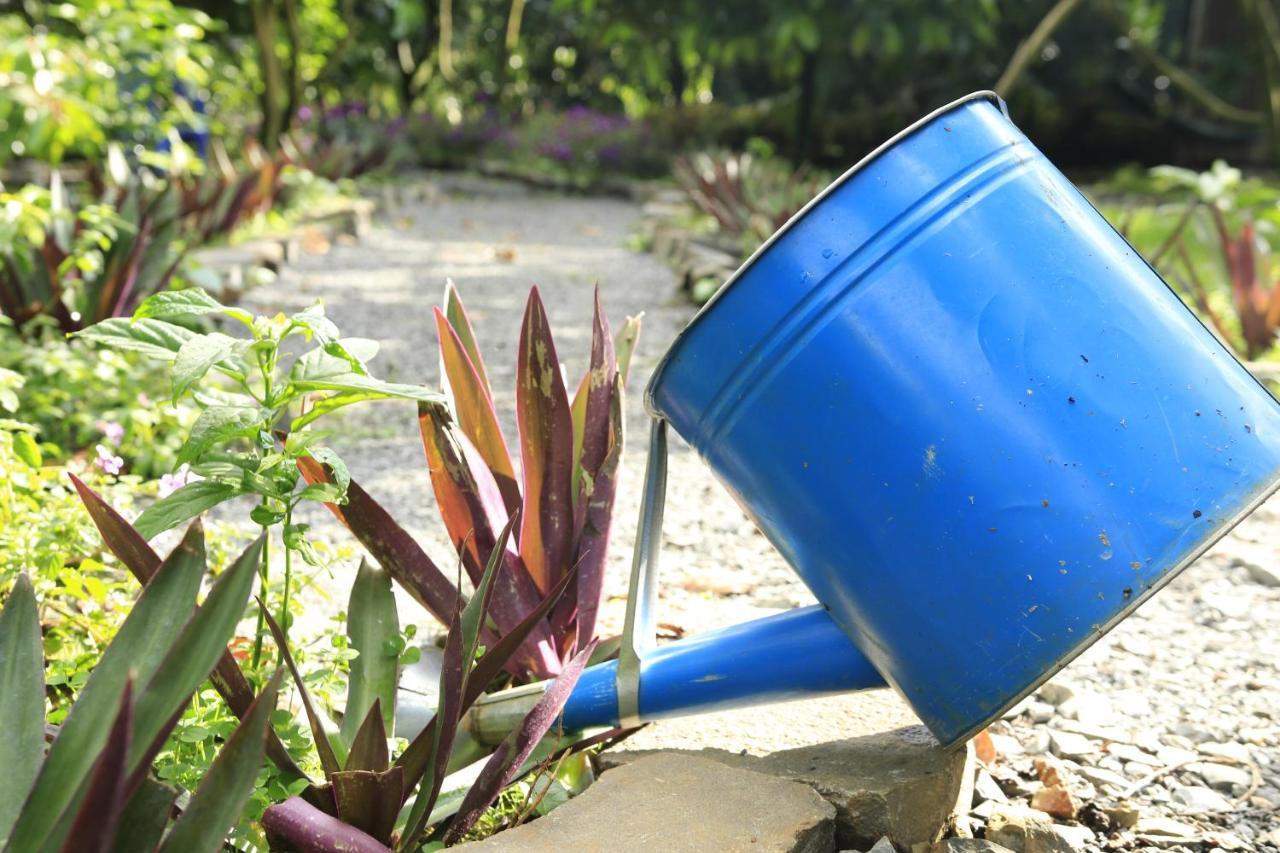 Homestay Vuon Trai Cay Nhiet Doi Vo Uu Garden Баолок Екстер'єр фото