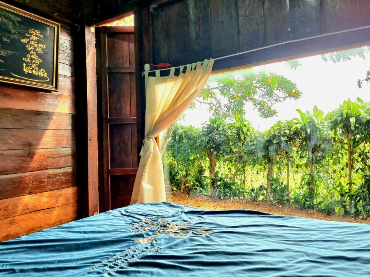Homestay Vuon Trai Cay Nhiet Doi Vo Uu Garden Баолок Екстер'єр фото