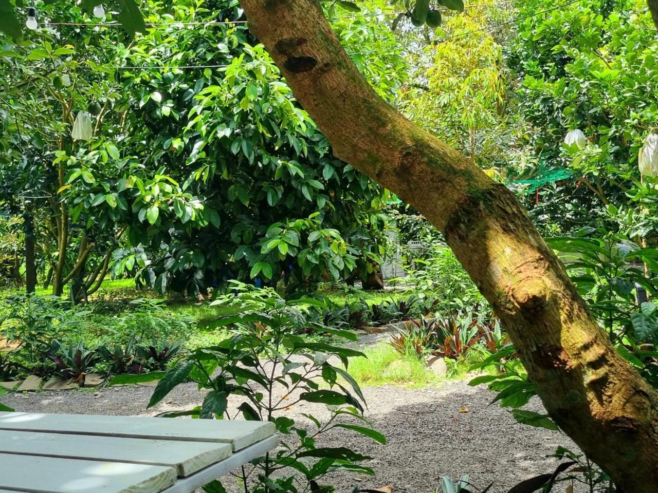 Homestay Vuon Trai Cay Nhiet Doi Vo Uu Garden Баолок Екстер'єр фото