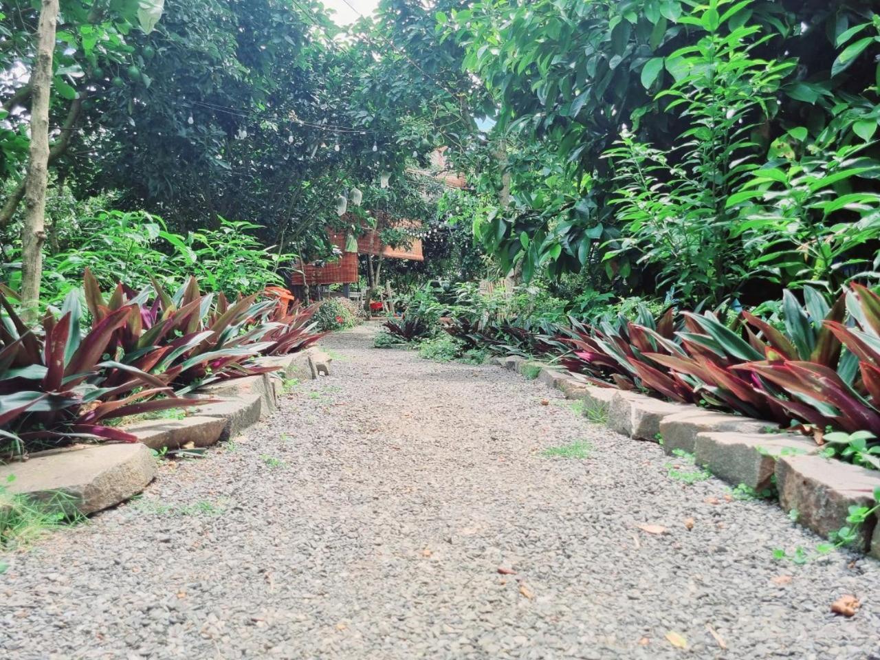Homestay Vuon Trai Cay Nhiet Doi Vo Uu Garden Баолок Екстер'єр фото